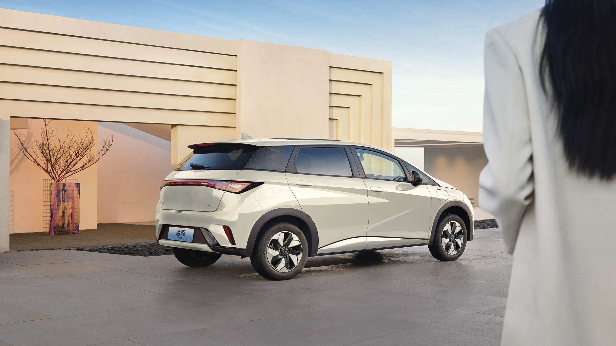 BYD Dolphin
